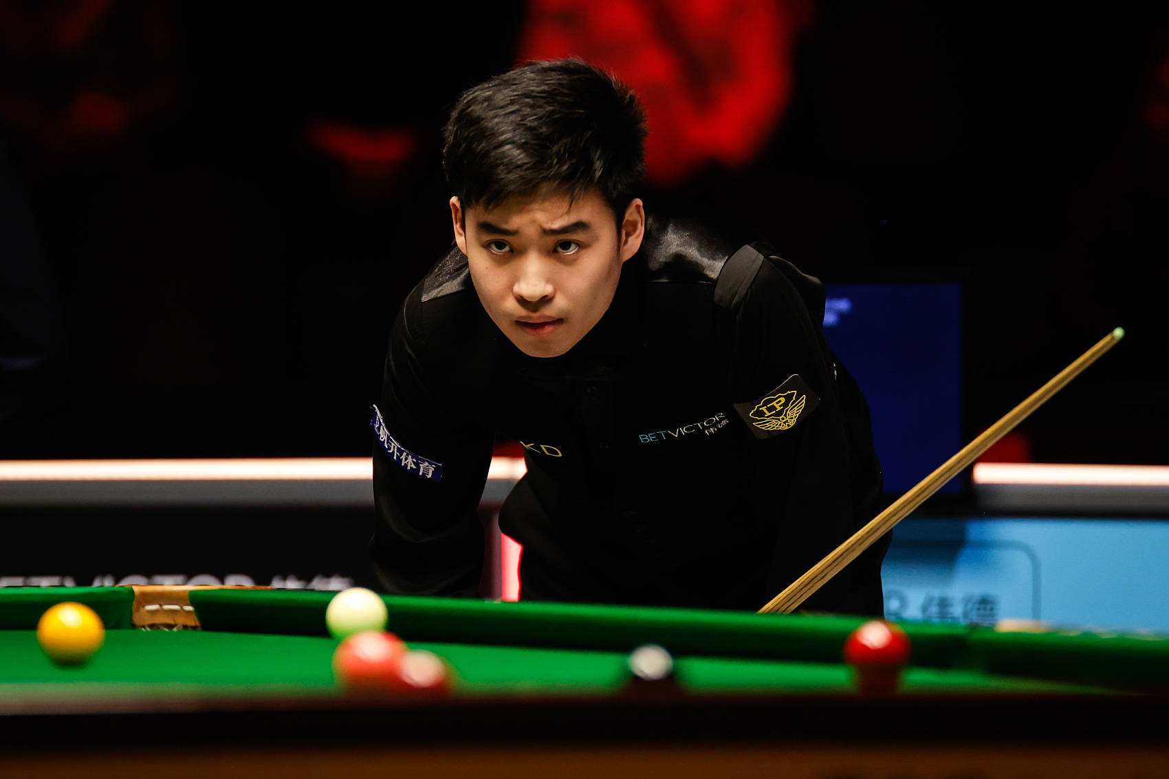 保证了雄鹿 保证了雄鹿