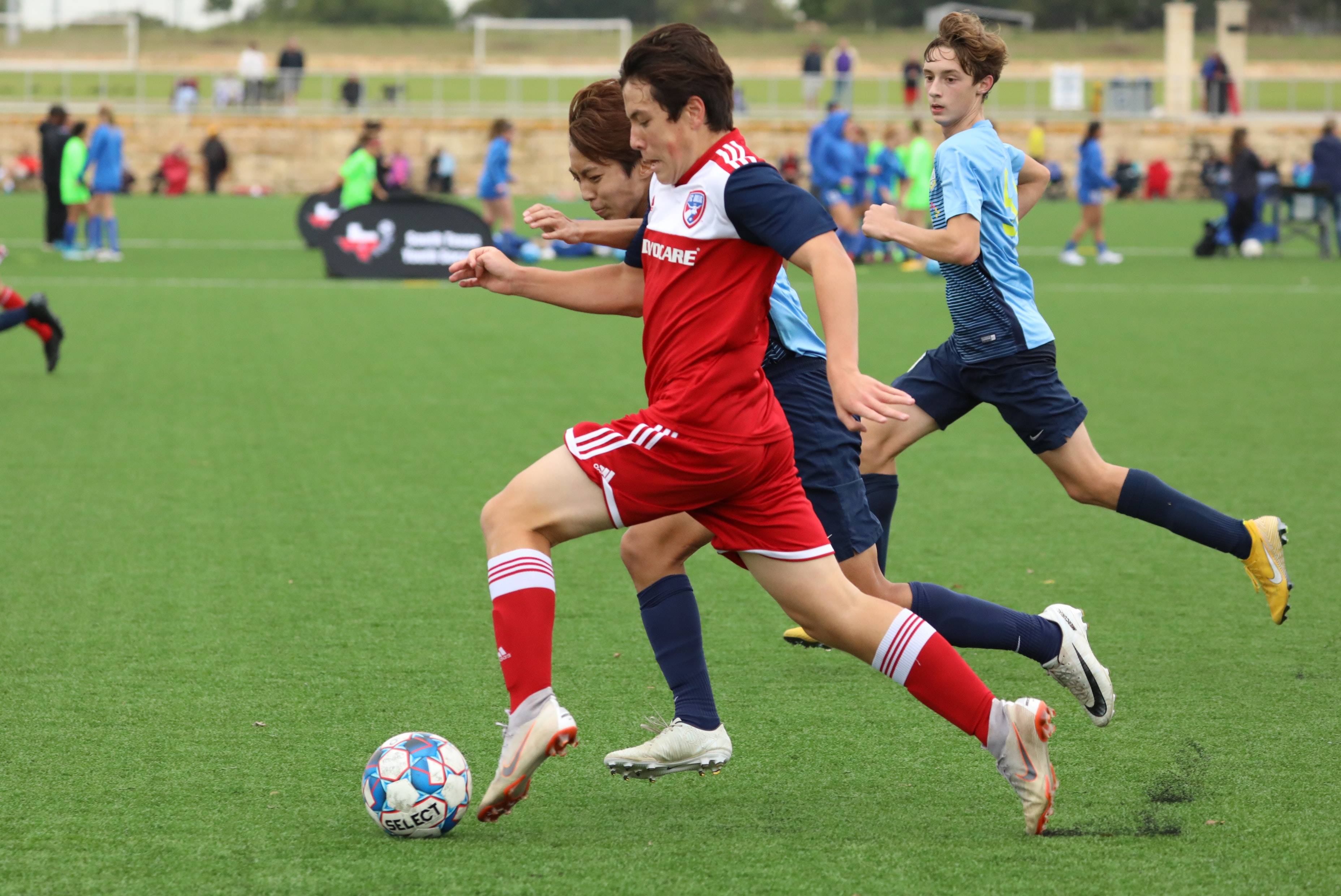 领域构建了 领域构建了