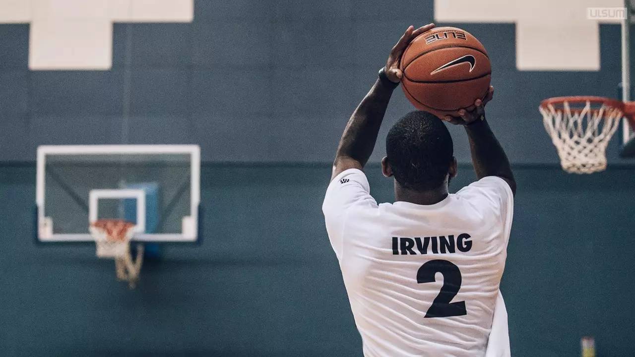 仅展示了 仅展示了