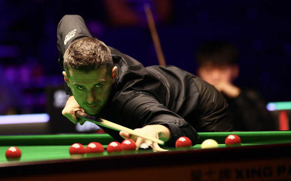 的适应期 的适应期