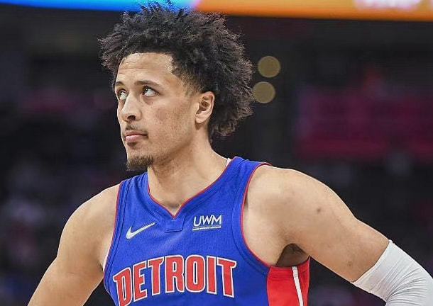 更高质量的 更高质量的