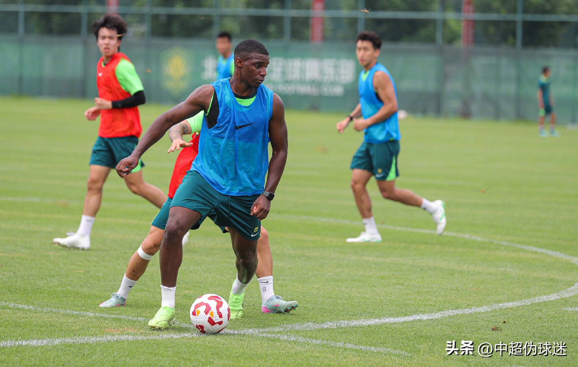 li li